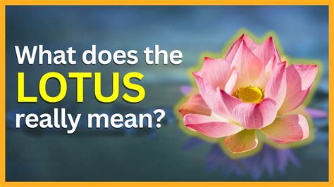 What Is The Importance Of Lotus Flower In Buddhism Best Flower Site