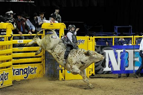 Watch NFR Live Stream 2023 Las Vegas Rodeo Online | Rodeo Sports News