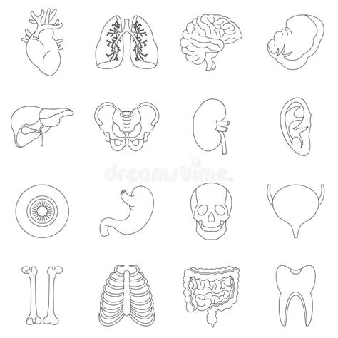 Iconos Fijados Estilo De Los órganos Humanos Del Esquema Ilustración Del Vector Ilustración