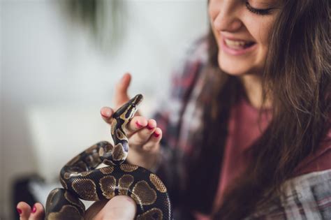 Pet Snakes: A Guide to Your Fascinating Reptilian Companions