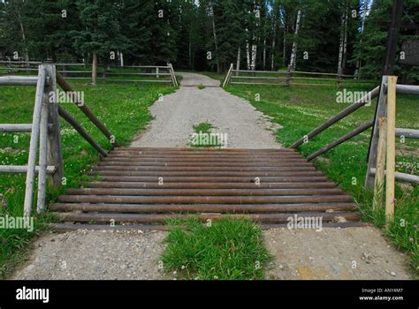 Texas Gate 1 Stock Photo - Alamy