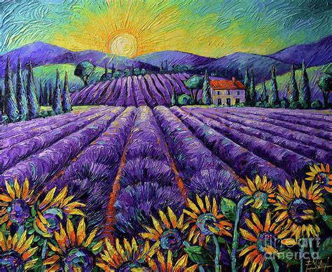 Lavender Fields And Sunflowers Lights Of Provence Palette Knife Oil