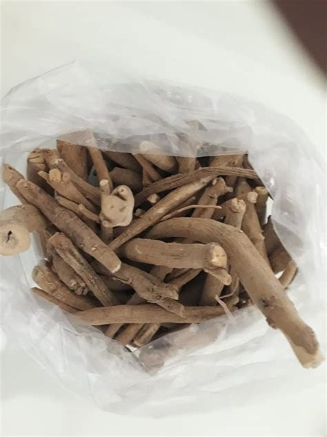 Fine Powder Ashwagandha Herbal Extract Packaging Type Hdpe Drums