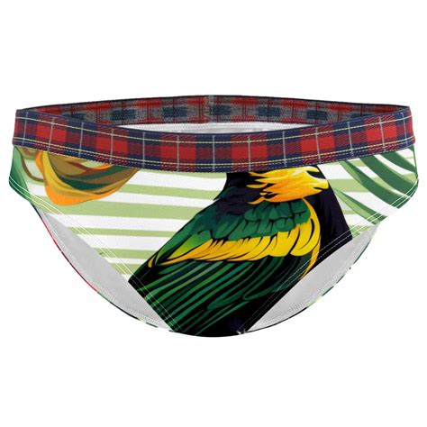 Brief Underwear Bikini Panties For Women Bikini Underwear M Bird Stripe Tropical Parrot
