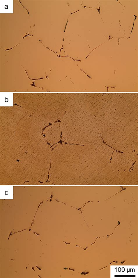 Light Optical Micrographs Of Homogenized Samples Cut At Positions In