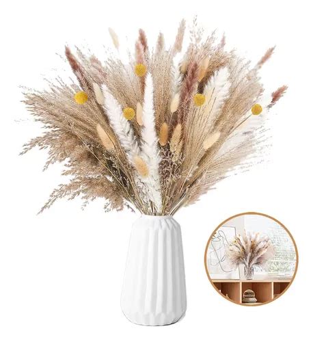 Pcs Pampas Secas Plantas Decorativas Flores Artificiales Meses