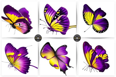 Butterfly Collection Graphic By Hassas Arts Creative Fabrica