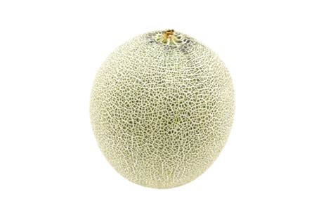 Green Melon Isolated On White Background Vegetable Freshness Juicy