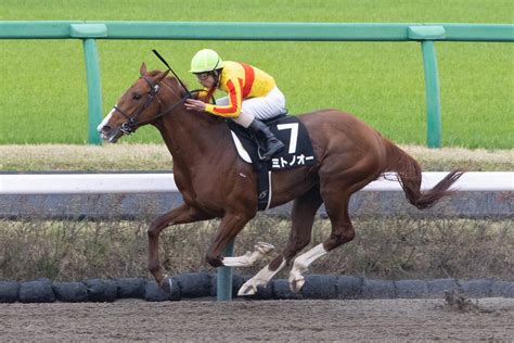 地方競馬全国協会nar公式 On Twitter 伏竜ステークス 1着はミトノオー。本日 Jra中山競馬場で行われた伏竜ステークス