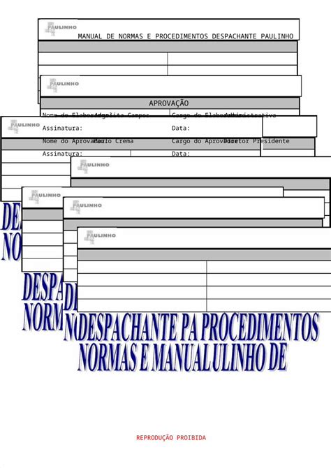 Doc Manual De Normas E Procedimentos Despachante Paulinho Dokumen Tips