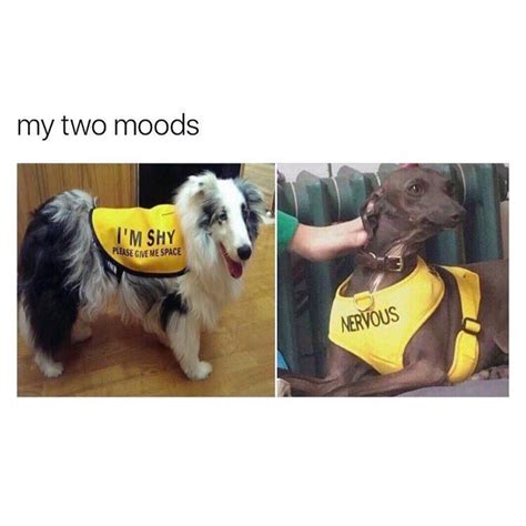 Im Nervous Meme