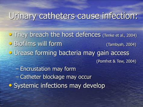 Ppt Catheter Associated Urinary Tract Infection Powerpoint