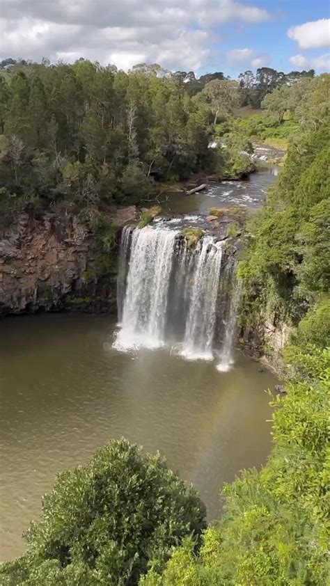 Exploring Dangar Falls, Dorrigo National Park | Instagram, nature ...