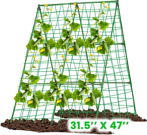 Cucumber Trellis 63x 32 Cucumber Trellis For Raised Bed Metal A Frame Cucumber