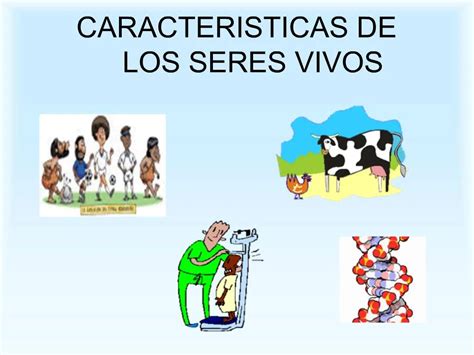 Ppt Caracteristicas De Los Seres Vivos Powerpoint Presentation Free