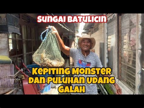 Kaget Angkat Bubu Dapat Kepiting Monster Dan Puluhan Udang Galah