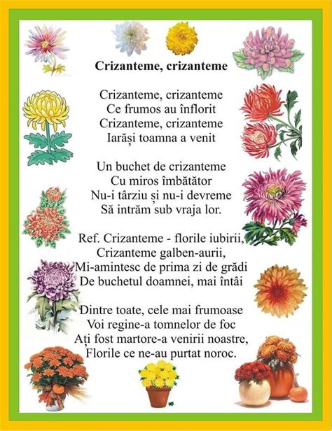 Poezie Flori De Toamna Crizantema