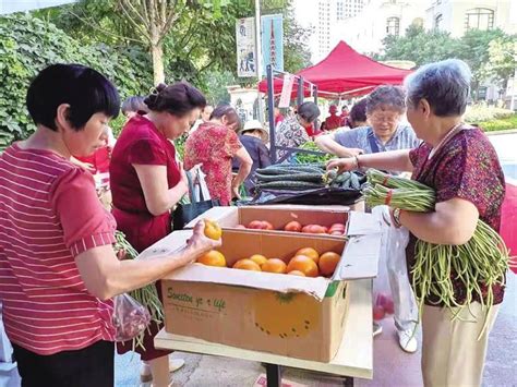 乡村“菜园子”直通居民“菜篮子”西固区村社联动助农增收便民解难获双赢兰州新闻网