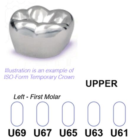 3m Iso Form Temporary Crowns Upper Pack 5