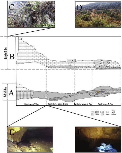 Schematic diagram of the cave A plan view of the cave B left profile... | Download Scientific ...