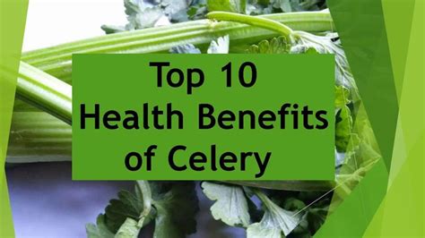 Top 10 Health Benefits of Celery. Most Amazing Benefits Of Celery ...