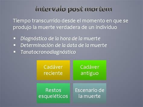 Autopsia Medicolegal Examen Externo E Interno Del Cadver