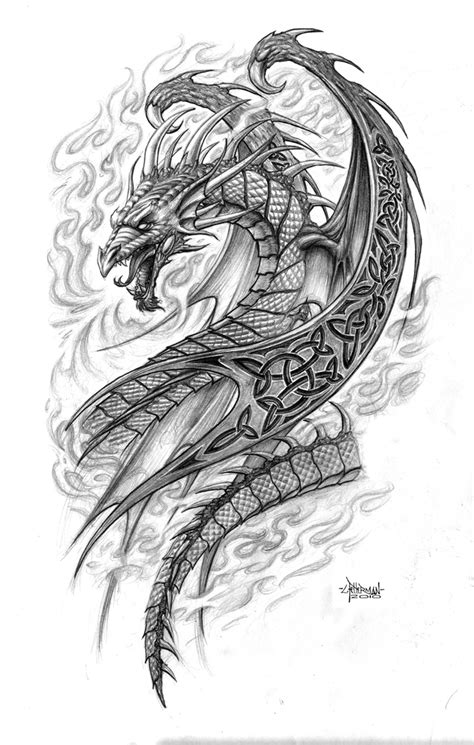 Celtic Dragon Drawing