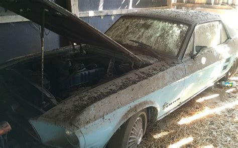 1967 Ford Mustang Barn Find | Barn find cars, Ford mustang, Mustang