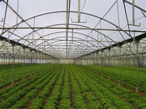 Greenhouse Film Basics - Greenhouse Product News