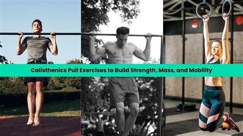 12 Best Calisthenics Pull Exercises To Build Resilience The Fitness Phantom