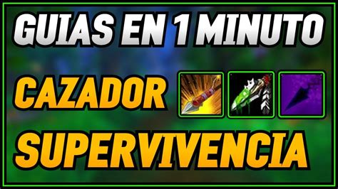 Guia Cazador Supervivencia Pvp Wotlk Guias En Minuto Baltha Youtube