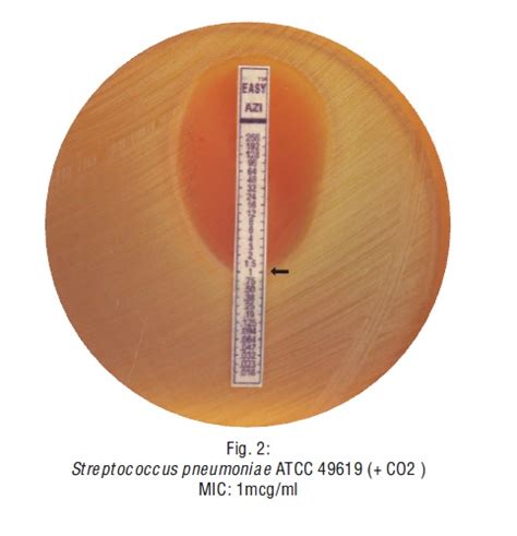 Ridacom Comprehensive Bioscience Supplier Azithromycin