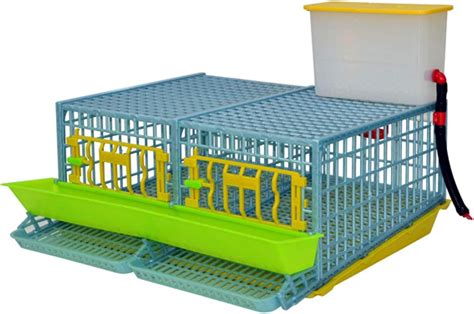 Amazon Quail Cage Two Compartment The Patented Design First In