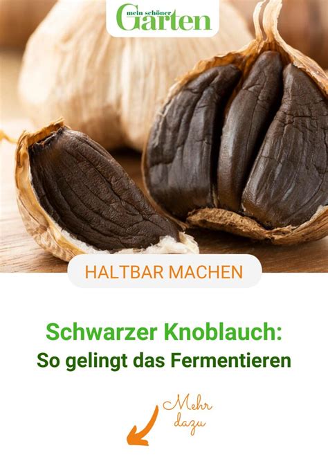 Schwarzer Knoblauch So Gelingt Das Fermentieren Fermentierte