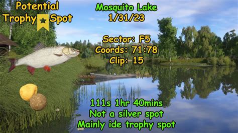 Russian Fishing 4 Mosquito Lake Trophy Ide Spot 1 31 23 YouTube