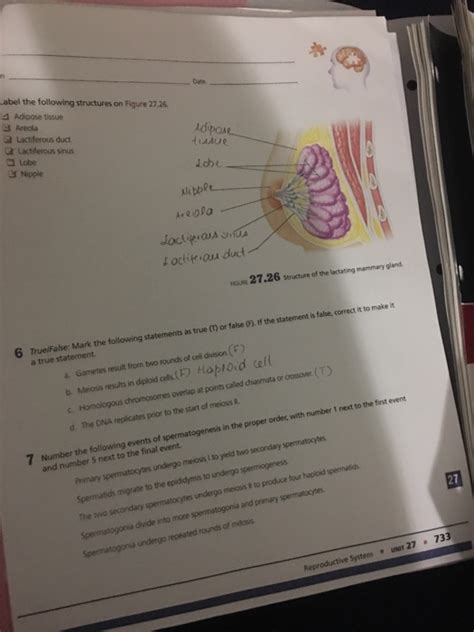 Solved Label The Following Structures On Figure 2726 D