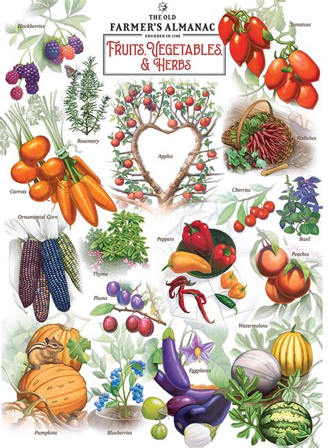 Fruits Vegetables Pieces Masterpieces Puzzle Warehouse