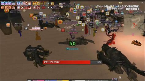 Mabinogi Black Dragon Raid YouTube