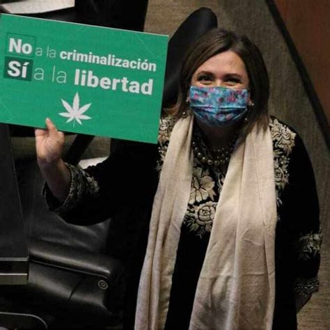 Senado De México Aprueba Iniciativa Para Permitir Consumo De Marihuana