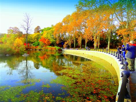 Wallpaper Reflection Leaf Water Nature Yellow Autumn Waterway