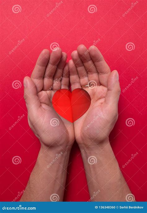 Two Hands Holding A Red Heart Stock Photo Image Of Holiday