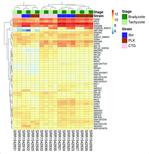 Heatmap Showing The Genes With Largest Average Expression Among