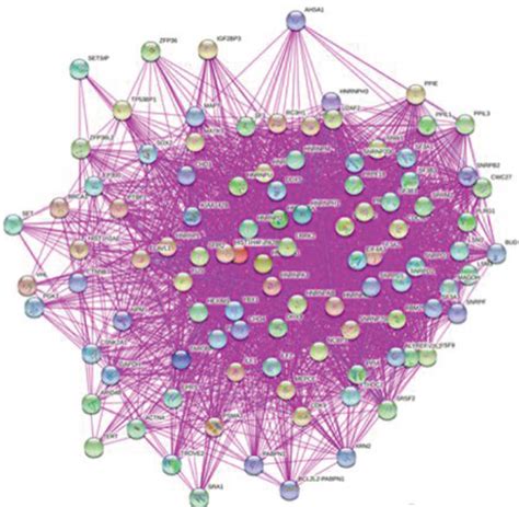 Hnrnpa B Related Gene Enrichment Analysis A Hnrnpa B Binding