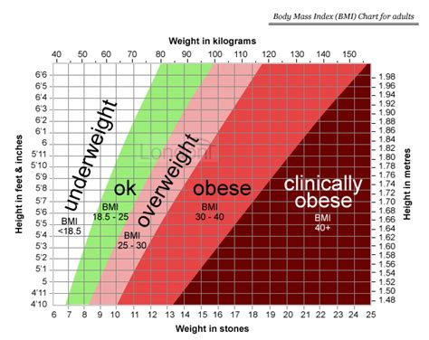 Bmi Body Mass Index Template Calculator Labb By Ag