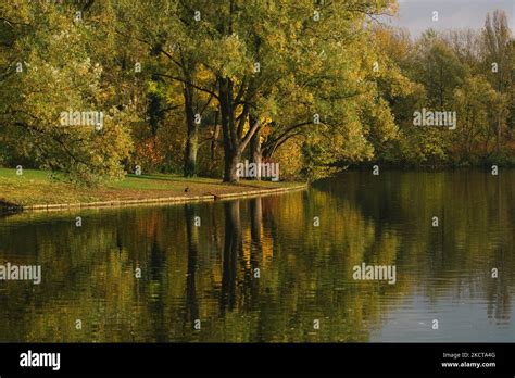 A Generel View Of Rheinaue Park During The Autumn Season As Trees