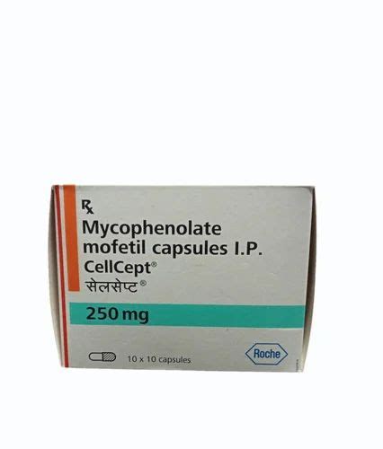 Mycophenolate Mofetil 250mg Tablets At ₹ 400stripe Wadala Mumbai