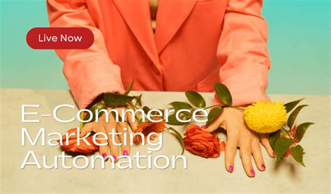 Guide To E Commerce Marketing Automation