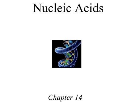 Solution Nucleic Acid Lecture Part 2 Studypool