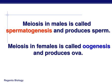 Ppt Meiosis And Sexual Reproduction Powerpoint Presentation Free