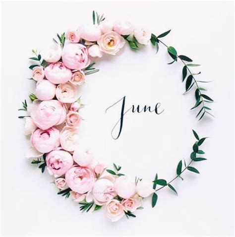 Pin By Shana Kle On Month Banners June Flower Flower Arrangements